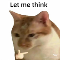 51806