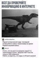 40266