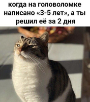 450808