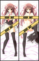 262991