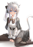 231567