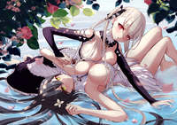 19005177