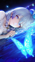 2622903