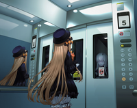 504631