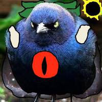 38404
