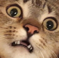 21324