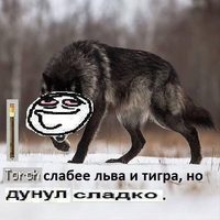 365725
