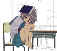 75293