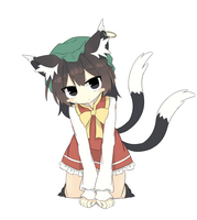177009