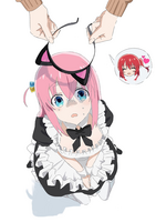 255277