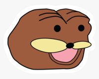 80281